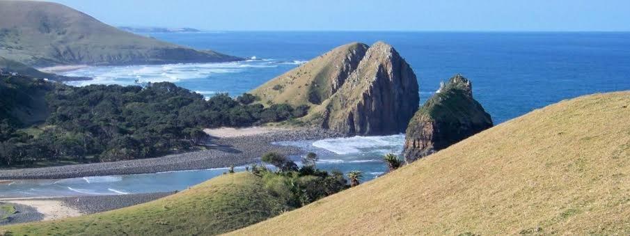 Wildview Self Catering Cottages Coffee Bay, Breakfast & Wi-Fi Inc Kültér fotó