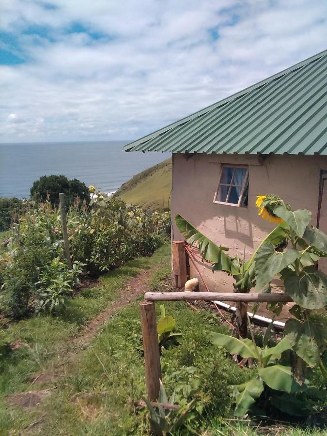 Wildview Self Catering Cottages Coffee Bay, Breakfast & Wi-Fi Inc Kültér fotó